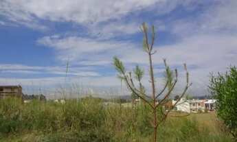 Imagem 6: Terreno para Venda - 0m², 0 dormitórios, Serraria