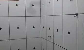 Imagem 5: Aluga-se Kit Net no Novo Paraíso