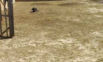 Imagem 3: Sítio na santa barbara