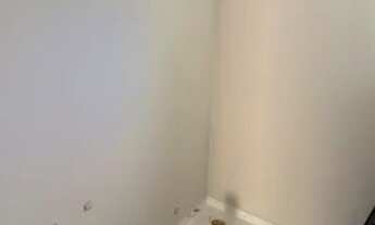 Imagem 2: Casa para venda tem 100 metros quadrados com 4 quartos em Vila Matilde - São Paulo - SP