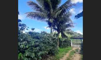 Imagem 5: Maravilhoso Sítio