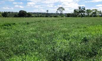 Imagem 5: Sitio Chácara com venda por R$1.400