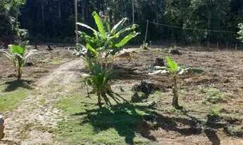 Imagem: Vende de sítio