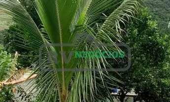 Imagem 2: RPRC*/-+Casa para venda com 4 quartos em Terras Altas - Juiz de Fora - MG