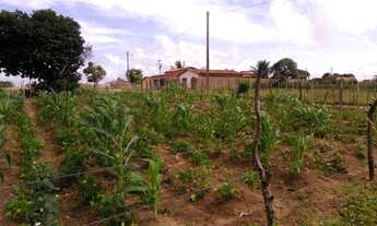 Imagem 2: Terreno em Araruna-PB - 510M² - Direto com proprietária