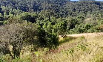 Imagem 7: Caldas - RURAL - Campininhas (Rural