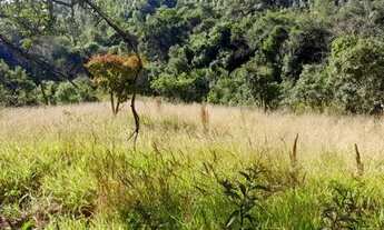 Imagem 6: Caldas - RURAL - Campininhas (Rural