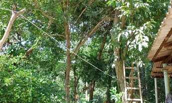 Imagem 4: Chácara próxima ao córrego moia