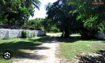 Imagem 2: Venda de terreno ilha vera cruz