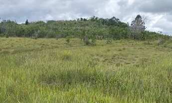 Imagem 2: Excelente fazenda de 115 t, com duas casas. curral, pastagem, rio e arvores frutíferas