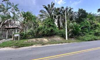 Imagem: Vende-se o Sítio São José de Ribamar