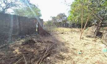 Imagem 2: Terreno de 4.989m² para locação e venda - Parque dos Pinus