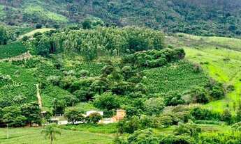 Imagem 3: Sítio | 59.000m² | Ampla Área Verde | Estrutura Completa