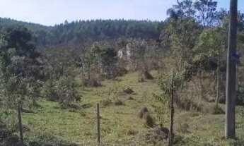 Imagem 7: Urgente! Terreno 884 metros quadrados , área urbana, IPTU. Excelente investimento!