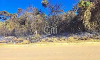 Imagem: BAIRRO AMADEUS