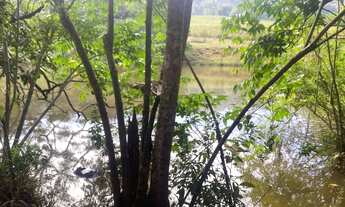 Imagem 5: FAZENDA 7 ALQUEIRES - HEITORAÍ - GO