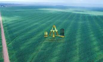 Imagem 7: Fazenda à Venda - Zona Rural - Diamantino/MT