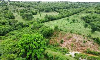 Imagem 6: Sitio proximo de caldas novas 13,5 alqueires rica em água