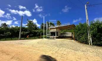 Imagem 3: Lotes de 276m² a 5 minutos da praia de Maragogi - Condomínio Barra de Maragogi