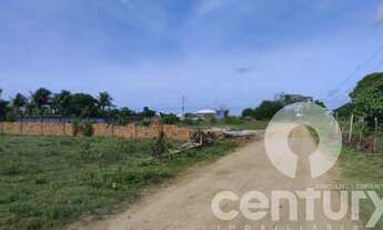 Imagem 3: Terreno no Recanto da Andorinhas