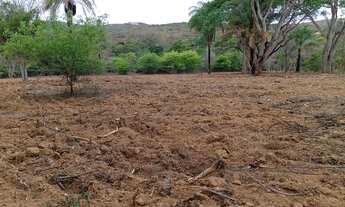 Imagem 6: Área 125 Hectares/Em Moc/Ideal pra dividir em sítios menores...Aceita veículo ou imóvel.