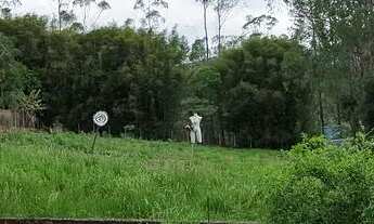 Imagem 7: Oportunidade Única: Chácara de 4.800m² - Espaço de sobra para o seu projeto!