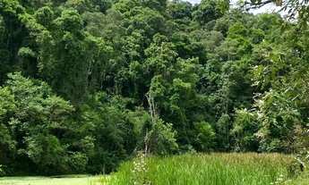 Imagem 3: Lotes para venda possui 1000 metros quadrados em Colégio - Ibiúna - SP