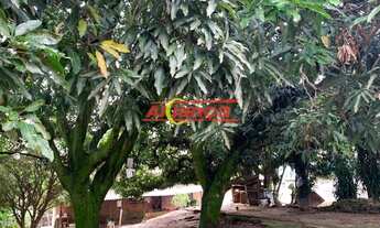 Imagem 6: Area, Jardim Bela Vista - Guarulhos