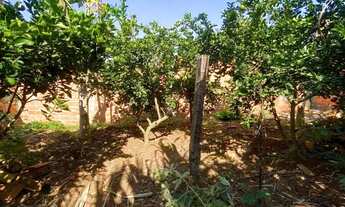 Imagem 2: ? Oportunidade! Terreno 10x30 Escriturado em Tatuí