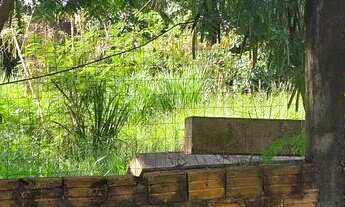 Imagem 5: Terreno Brazmadeira atrás Globoaves