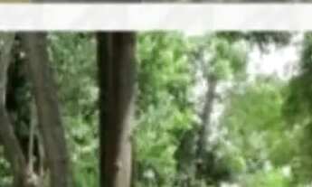 Imagem 3: Apartamento em Rua Martim Afonso - Santo Antônio - Porto Alegre/RS