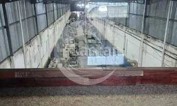 Imagem 4: Galpão/Depósito/Armazém em Brás