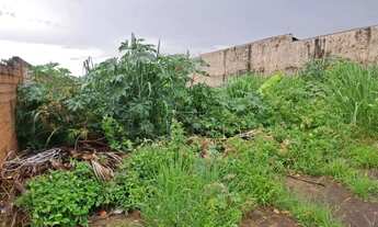 Imagem 5: Terreno de 377m² á venda - Parque Residencial Cidade Universitária