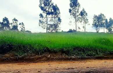 Imagem 2: Terreno em condomínio com portaria 24h São Roque