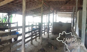 Imagem 5: Campo Brasil Imóveis, realizando seu sonho rural! Sítio com área de 7 alqueires!