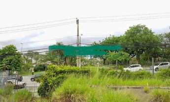 Imagem 4: SÃO PAULO - Terreno Padrão - VILA MADALENA