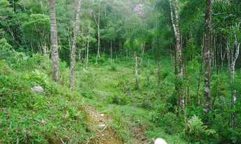 Imagem 7: Sitio valor R$ 8.500,00 cada hectares