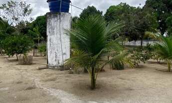 Imagem 6: Sítio em Caaporã PB às margens da PB034