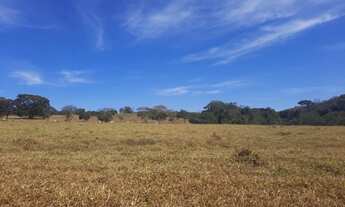 Imagem 2: Fazenda a venda em Campo Alegre - Go - 870 Ha - Jóia Rara!