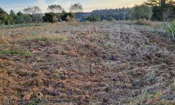 Imagem 6: Terreno em São José dos Pinhais, na Estrada Principal da Cotia com 30.000 m² (3 hectares)!