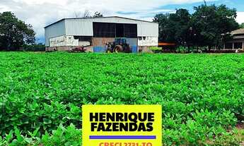 Imagem 2: Fazenda a venda na região de Miranorte