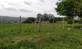 Imagem 7: Chácara - ideal para plantio de Oliveiras e Nogueiras