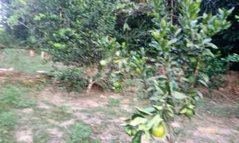 Imagem 2: Sítio Terreno / lote com venda por R$150.000