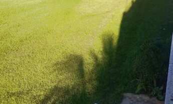 Imagem 7: ALUGA-SE CASA EM COQUEIRAL DE ARACRUZ PRÓXIMO DA PRAIA