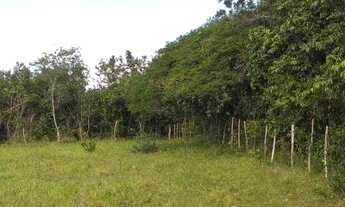 Imagem 3: Fazenda Fazenda / sítio com venda por R$1.200.000