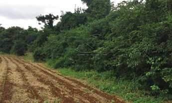 Imagem 6: Toledo - Lote/Terreno - Vila Nova