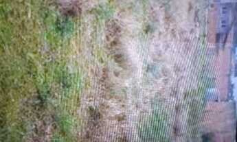 Imagem 2: Vendo 2 terrenos juntos