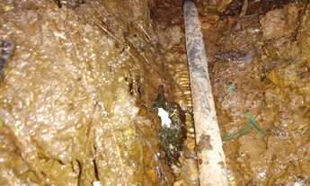 Imagem 6: Vende-se terreno Caparaó