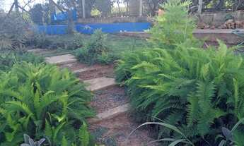 Imagem 6: Vendo ou troco chácara por casa ou apartamento