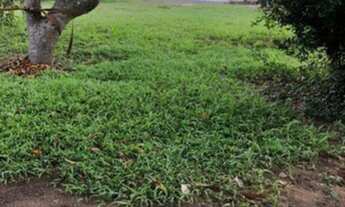 Imagem 2: Chácara são Benedito